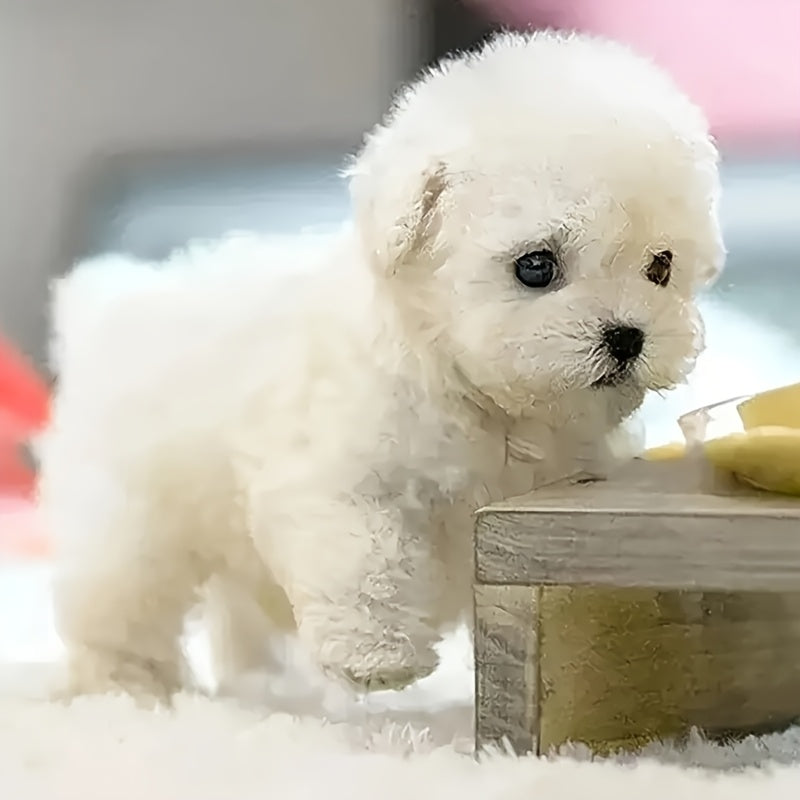 Gift Box Packaging Interactive Robotic Plush White Labrador Puppy Toy Walks, Barks, Wags Tail Realistic Electronic Pet Dog, Perfect for Kids Birthday, Christmas, Holiday Surprise,