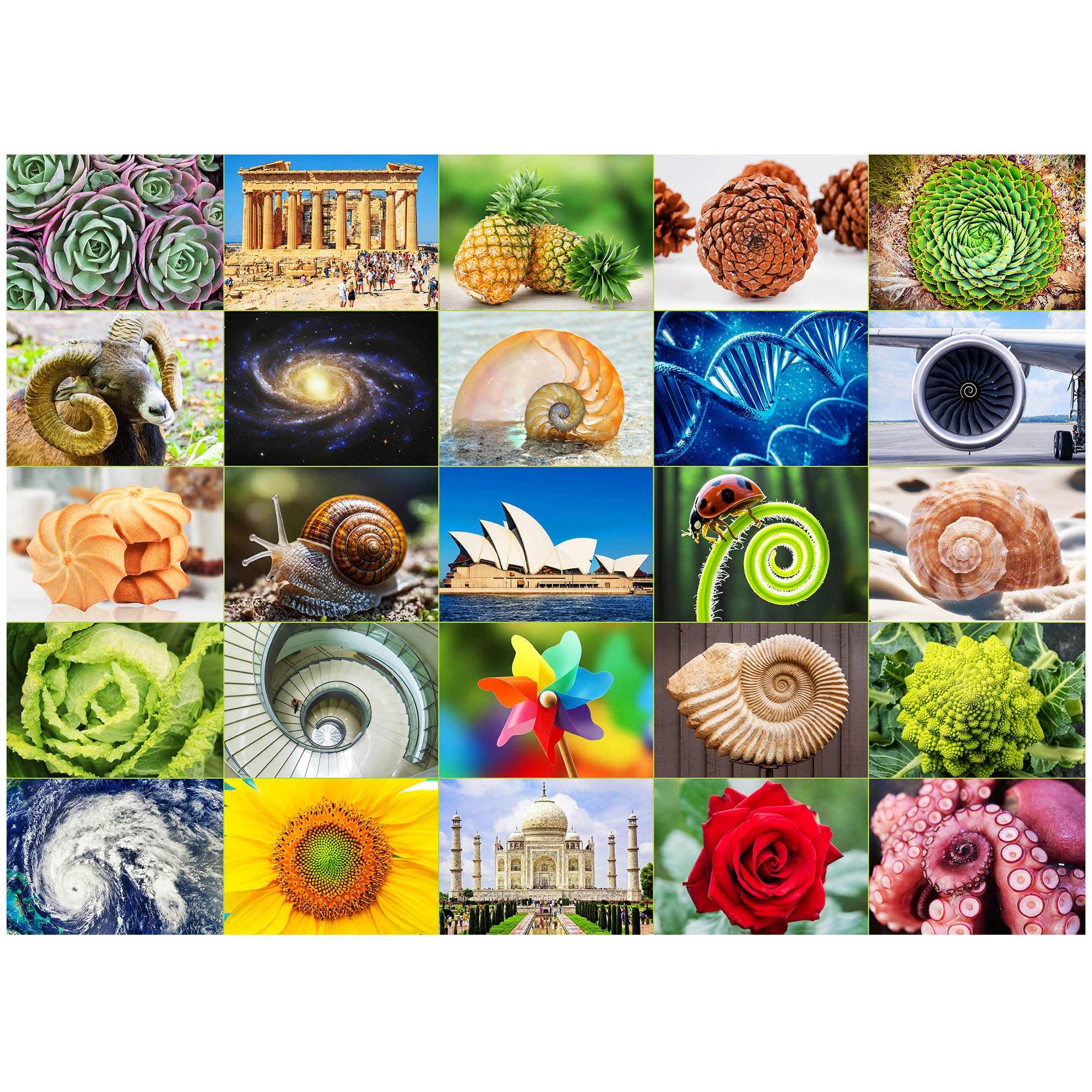 3 Pack Challenging 1000 Piece Large Jigsaw Puzzle for Adults, for Family Game Night, Birthday/Christmas/Holiday/Easter Gift, DIY Home Decor, Puzzles with Letters on Back, Fusine Lake, Jungle Parrots, Leopard in the Jungle, Travel Landscape, Scenic Spots i