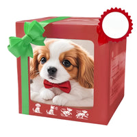 G3 (Gift Box)