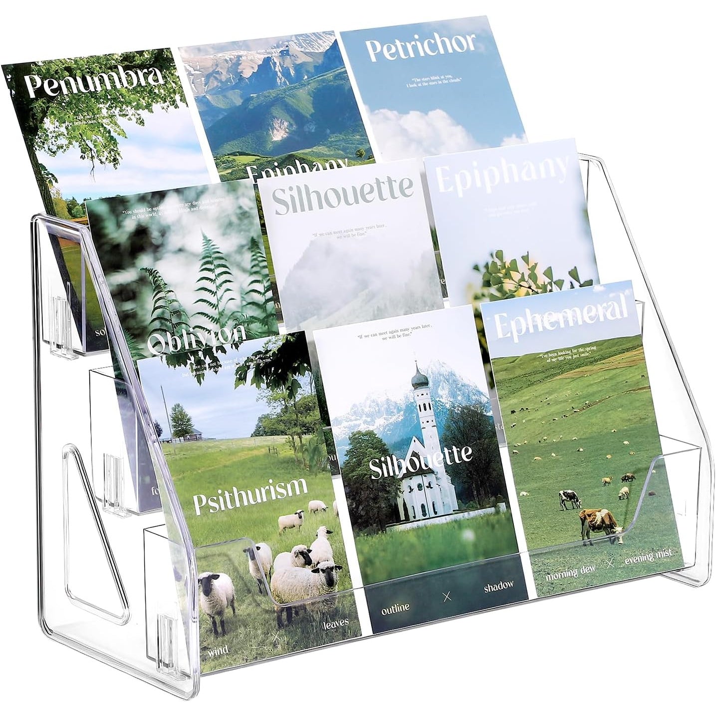 3/5-Tier Vertical Collectible Card Display Stand Compatible for PSA BGS SGC Graded Cards, Snap-in Assembly Suitable for Baseball & Basketball Trading Card Showcase, Desktop Holder for PSA/BGS/SGC Card Display